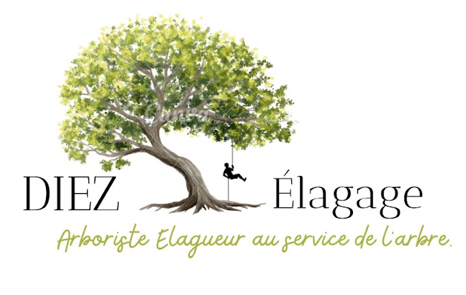 DIEZ ELAGAGE